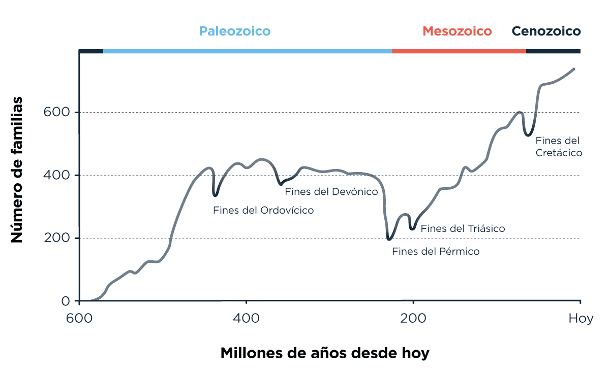 Gráfico que muestra el número de familias biológicas a lo largo de millones de años, dividido en eras Paleozoica, Mesozoica y Cenozoica. Se observan descensos significativos en los fines del Ordovícico, Devónico, Pérmico, Triásico y Cretácico, representando eventos de extinción.
