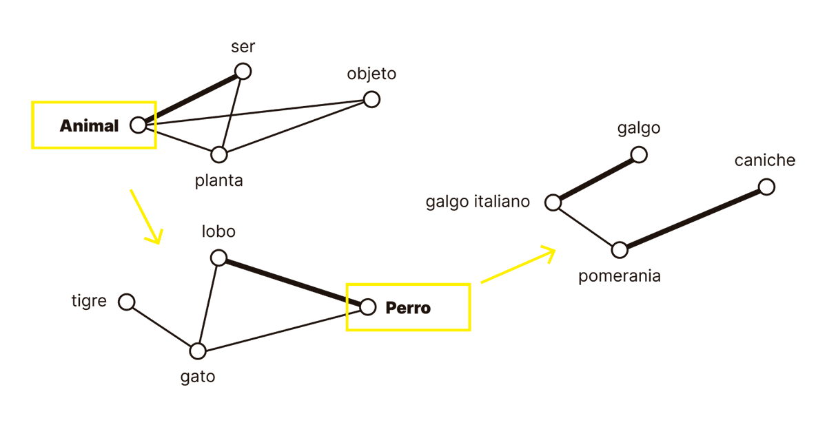 La imagen ilustra una jerarquía semántica que parte de términos generales y va aumentando en especificidad. Se representa una estructura donde la palabra "Animal" conecta con términos como "ser," "planta," y "objeto" en un nivel amplio. Al ir descendiendo en la jerarquía, el término "Perro" se conecta con otras especies y subespecies, como "lobo" y razas de perros como "galgo italiano" y "pomerania." Las flechas amarillas indican un zoom o enfoque progresivo hacia categorías más específicas. Esta representación visual ayuda a comprender cómo los conceptos se estructuran desde niveles generales hasta niveles más detallados en un marco de relaciones semánticas.