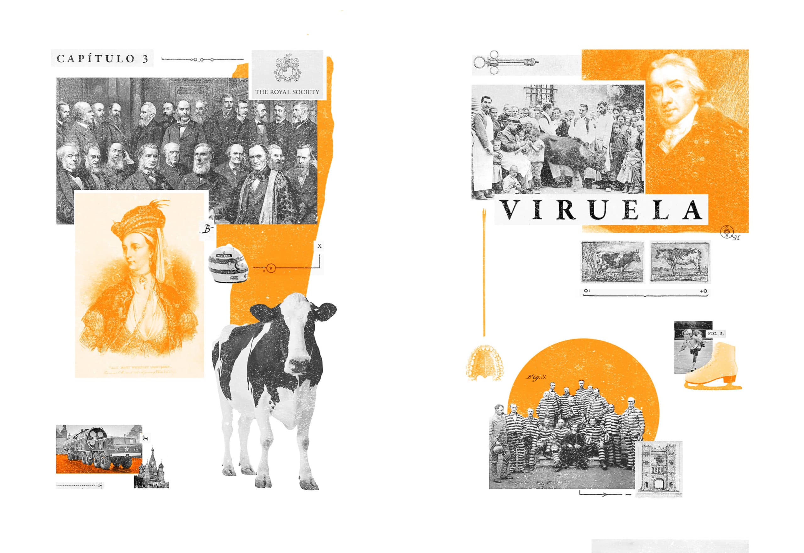 La portada del capítulo "Viruela" combina imágenes históricas con figuras significativas en la historia de la enfermedad y su erradicación. Destacan representaciones de The Royal Society y Edward Jenner, el pionero de la vacunación, junto a elementos simbólicos como una vaca, que alude a la primera vacuna derivada de la viruela bovina. La estética en blanco, negro y naranja crea un contraste visual que enfatiza el impacto de la viruela en la historia y su contexto científico y cultural.