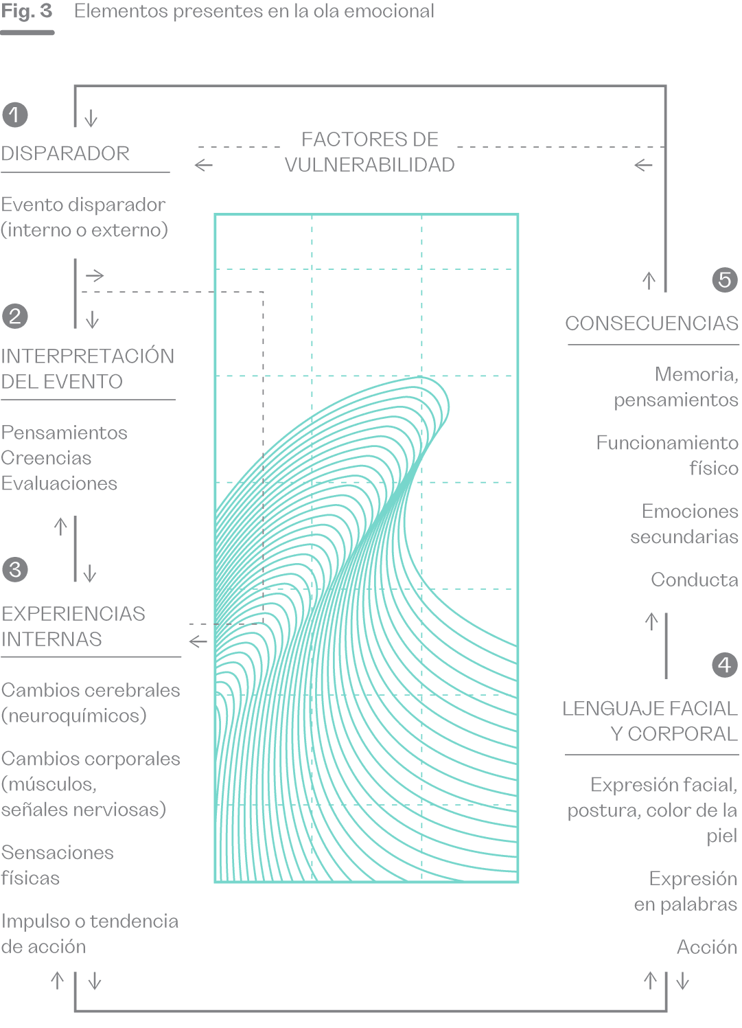 La imagen ilustra la figura 3, que descompone los elementos presentes en una ola emocional en cinco etapas. El proceso comienza con un "Disparador", que puede ser un evento interno o externo y está influenciado por factores de vulnerabilidad. La segunda etapa es la "Interpretación del evento", en la cual se generan pensamientos, creencias y evaluaciones en respuesta al disparador. La tercera etapa, "Experiencias internas", implica cambios cerebrales y corporales, sensaciones físicas e impulsos de acción. La cuarta etapa abarca el "Lenguaje facial y corporal", manifestándose en la expresión facial, postura, color de piel, palabras y acciones. Finalmente, la quinta etapa describe las "Consecuencias", que abarcan la memoria, los pensamientos, el funcionamiento físico, emociones secundarias y conductas resultantes.