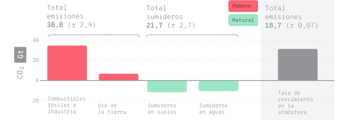 Gráfico de barras que muestra el balance de emisiones y sumideros de CO₂ en gigatoneladas (Gt). A la izquierda, se muestra el total de emisiones de CO₂ de origen humano (38,8 ± 2,9 Gt), desglosadas en 'Combustibles fósiles e industria' y 'Uso de la tierra'. A la derecha, se muestra el total de sumideros de CO₂ (21,7 ± 2,7 Gt), divididos en 'Sumideros en suelos' y 'Sumideros en aguas'. Las barras rojas representan fuentes humanas de emisiones, mientras que las verdes indican sumideros naturales que absorben el CO₂.