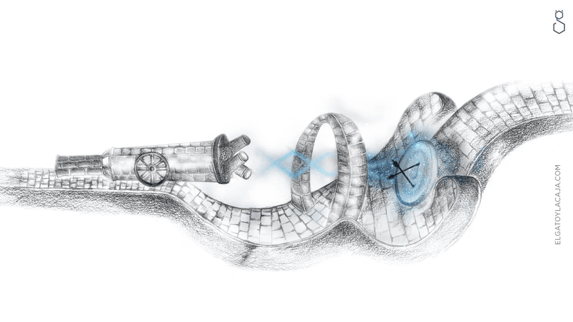 Instrucciones para armar un pollo