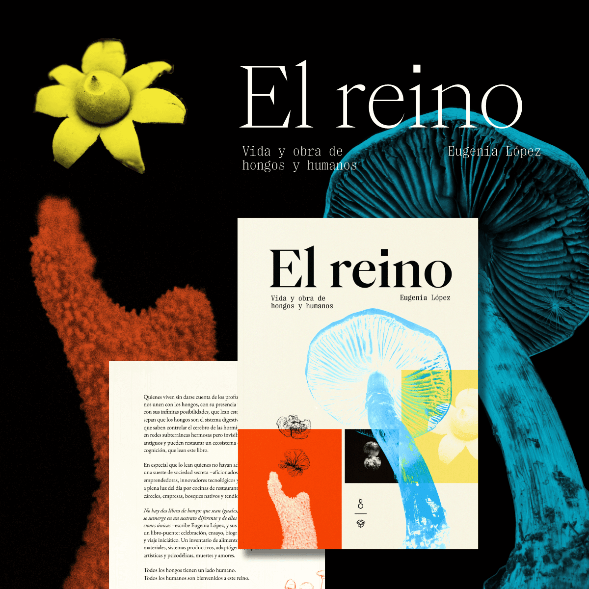 Directo a tus tripas (Lentinula edodes)