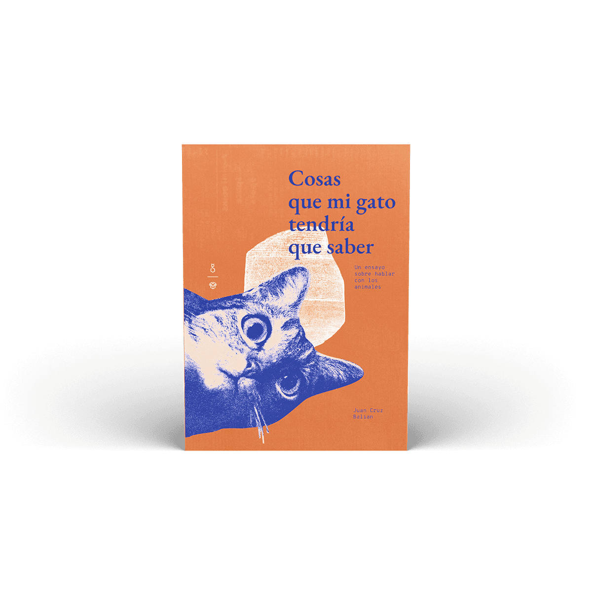 Cosas que mi gato tendría que saber